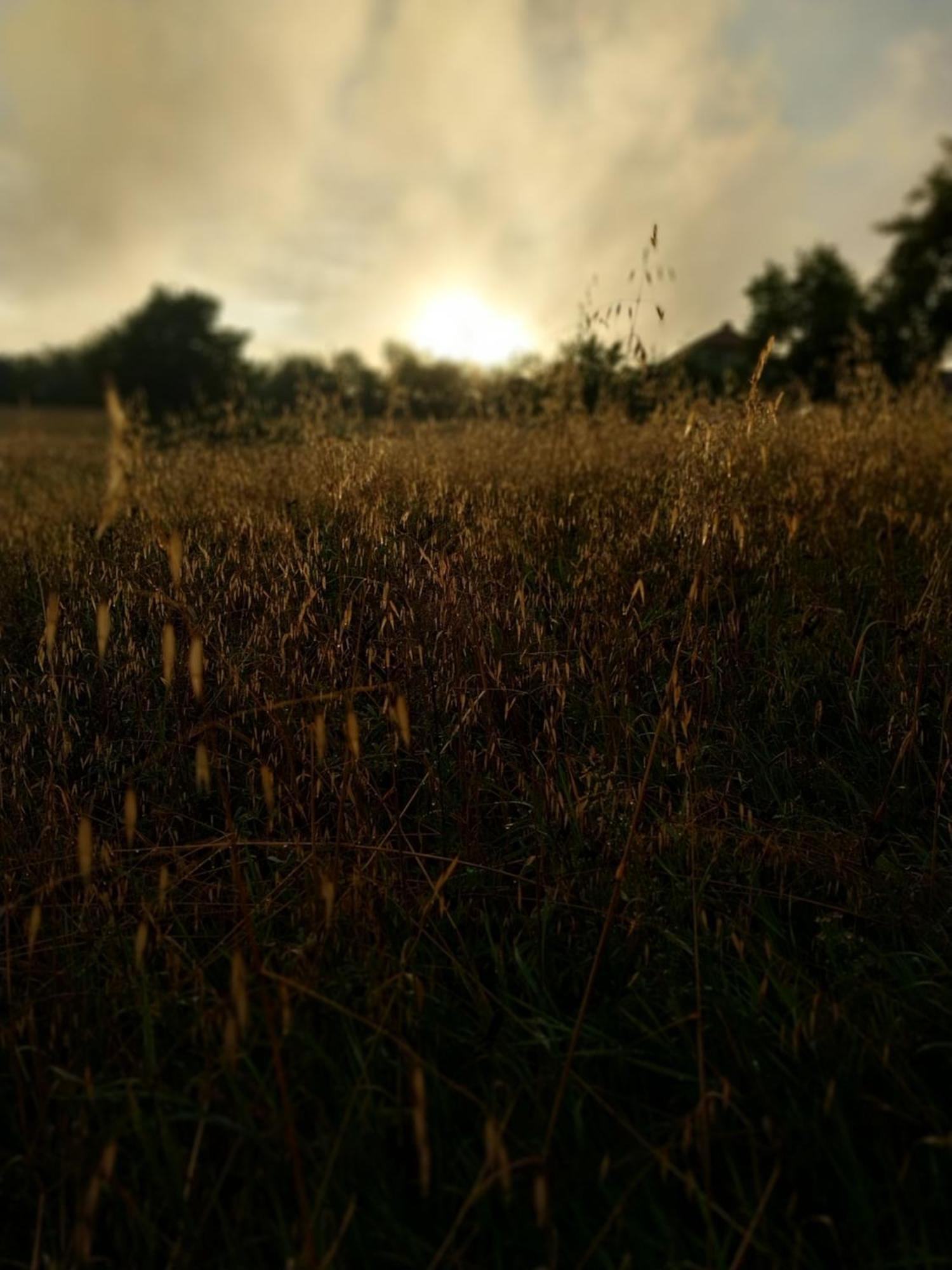 Villa Wypoczynek Kocia Gora Dziemiany Esterno foto
