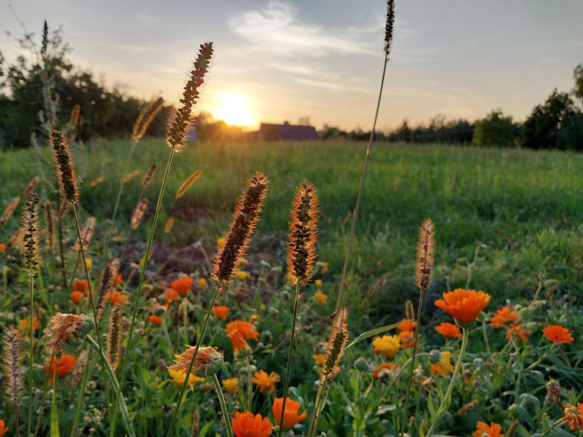 Villa Wypoczynek Kocia Gora Dziemiany Esterno foto